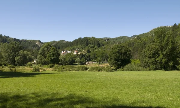 stock image Summer sunny landscape