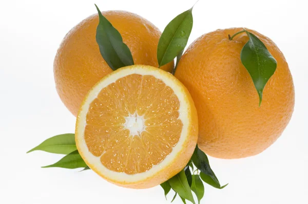 Orange food isolated over white — Stock Photo, Image