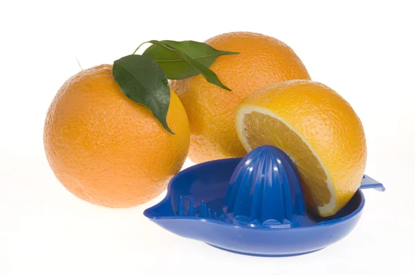 อาหารสีส้มแยกจากสีขาว — ภาพถ่ายสต็อก