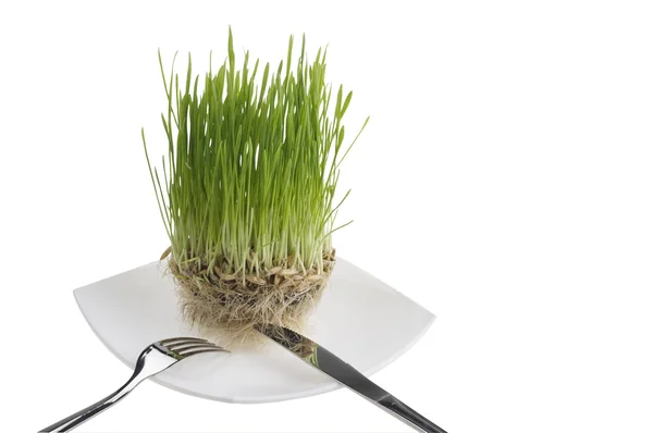 Gesunde grüne Pflanzennahrung auf dem Teller. — Stockfoto