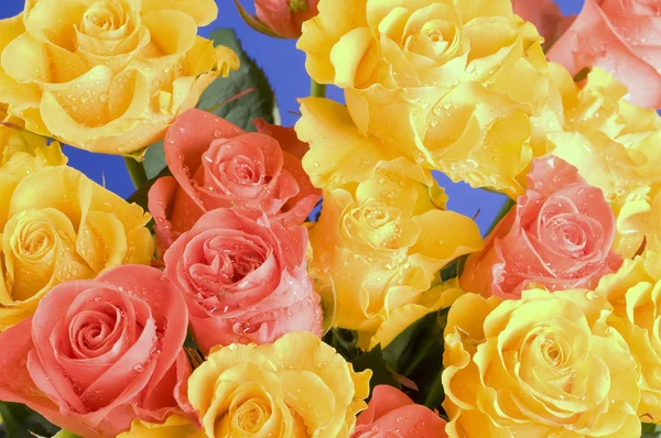 Color roses bouquet — Stock Photo, Image