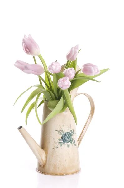 Flores de tulipa de primavera em uma lata de rega — Fotografia de Stock