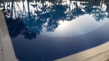 Reflection of trees on a pool water clipart