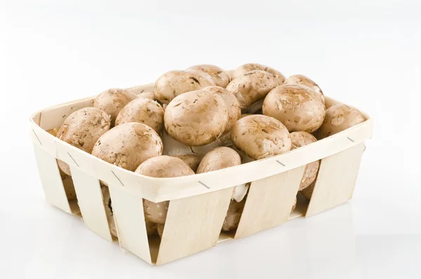 Сирі гриби в кошику на білому — стокове фото