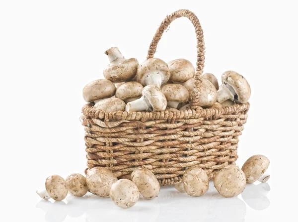 Cogumelos crus em uma cesta em branco — Fotografia de Stock