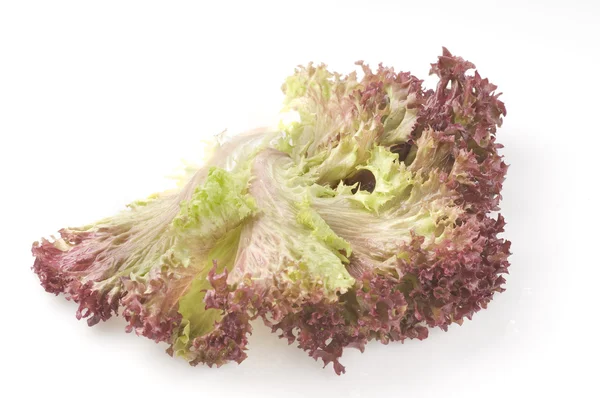 stock image Lettuce leaf isolated on a white