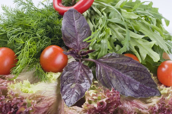 Herbes et légumes frais crus — Photo