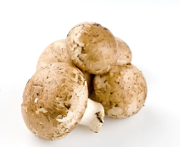 Свіжі сирі гриби ізольовані на білому — стокове фото