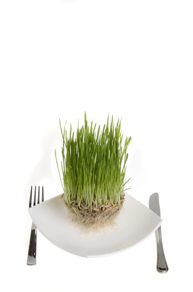 Jedzenie zdrowych roślin zielonych na talerzu. — Zdjęcie stockowe