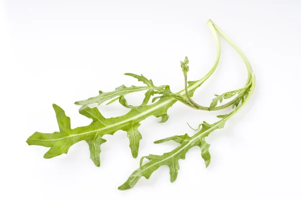 Rucola leaf isolated over white — Stock Photo, Image