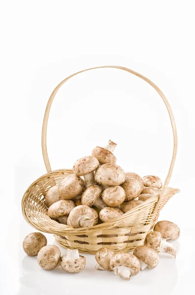 Сирі гриби в кошику на білому — стокове фото