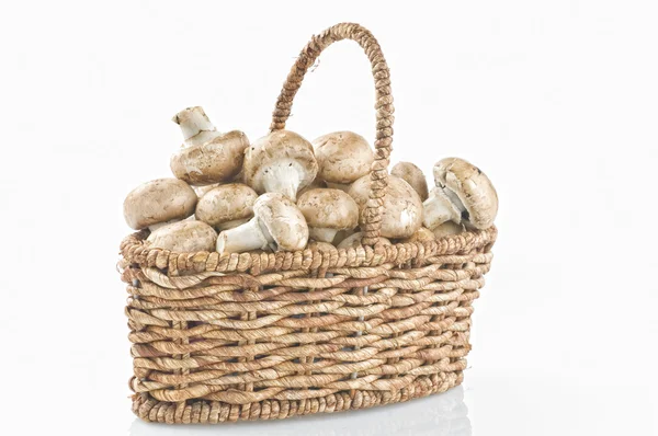 Cogumelos crus em uma cesta em branco — Fotografia de Stock