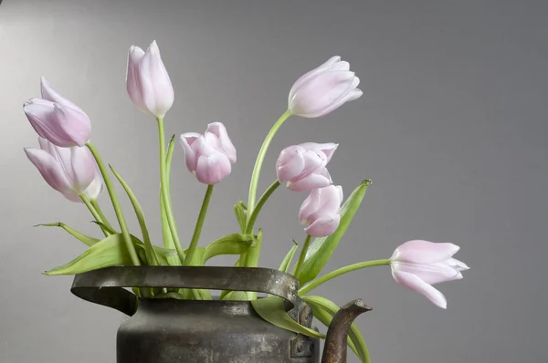 Bunch of pink tulips in an old kettle — Stock Photo, Image
