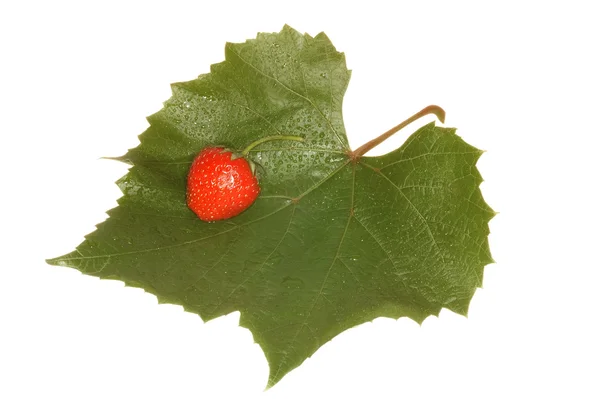 Leaf of grape with strawberries — Stock Photo, Image