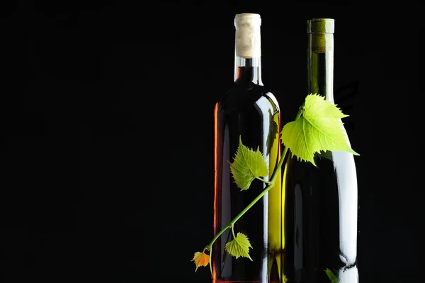 Две бутылки вина, выкрученные виноградной лозой Стоковое Изображение