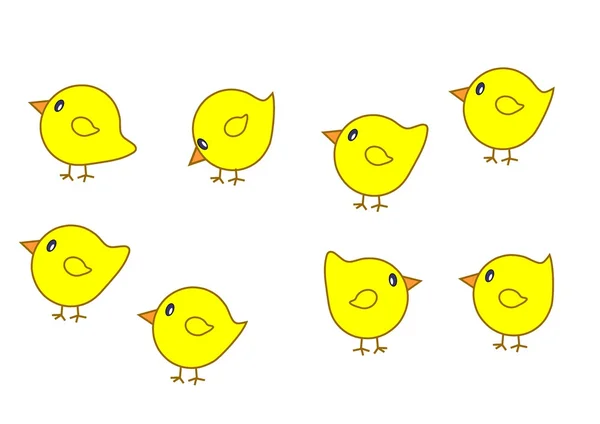Set of chicks — Stock Vector