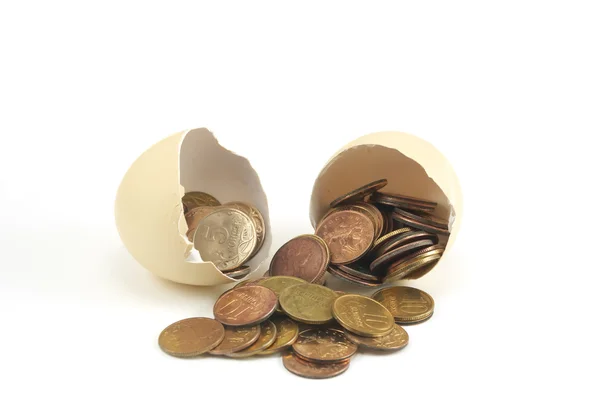 Coins in a shell — Stock Photo, Image