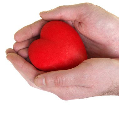 Heart in man's hands clipart