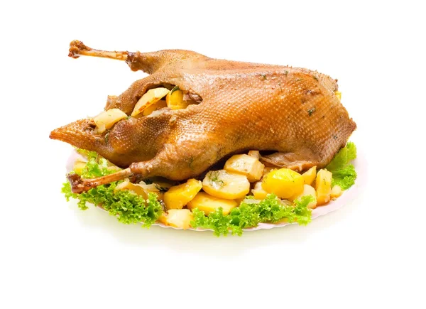 Goose baked with potatoes — Stock Photo, Image