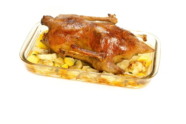 Oca cotta con patate — Foto Stock