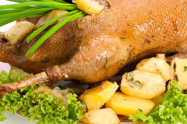 Goose baked with potatoes — Stock Photo, Image