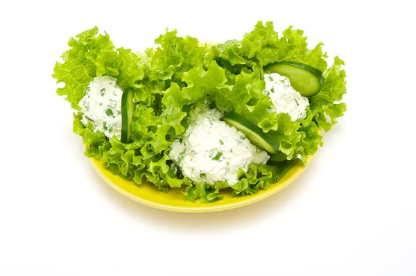 Salat gefüllt — Stockfoto