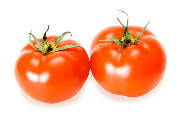 Čerstvá rajčata izolovaná na bílém — Stock fotografie