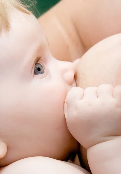 赤ちゃんの母乳育児 ストック画像