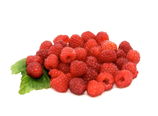 Fresh raspberry and leaf isolated on wh — Stock Photo, Image