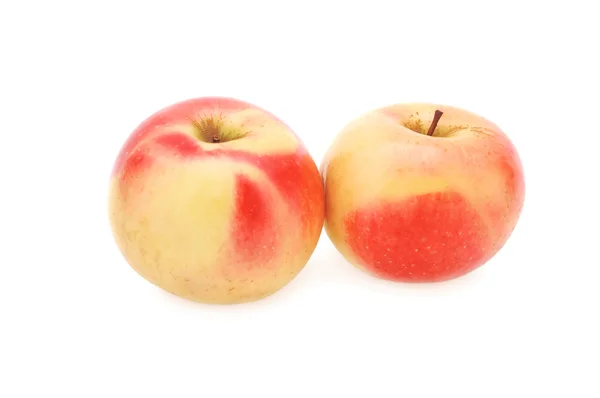 stock image Two yellow-red apple