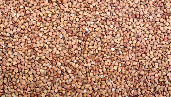 Background seeds of buckwheat — Stock fotografie