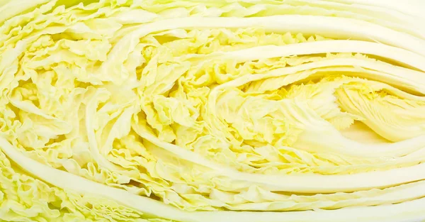 Peking cabbage — Stock Photo, Image