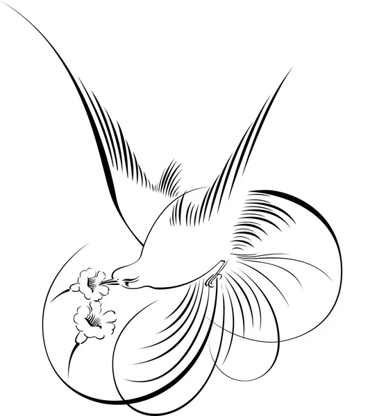 Kalligrafische illustratie van vogels — Stockvector