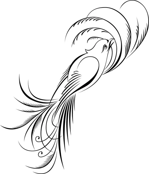 Kalligrafiska illustration av fågel — Stock vektor