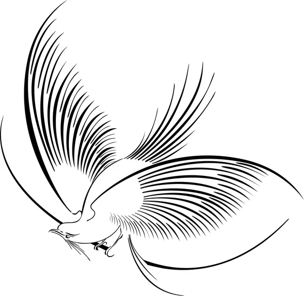 Каллиграфическая иллюстрация птиц Стоковый вектор