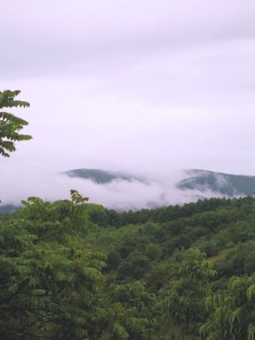 Doğal Manzara