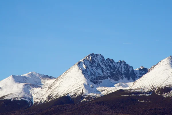 Zasněžené hory — Stock fotografie