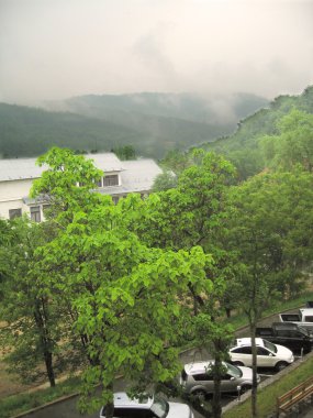 Doğal Manzara