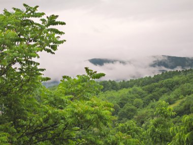 Doğal Manzara