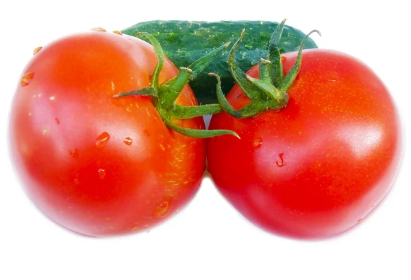 Pomodoro e cetriolo — Foto Stock