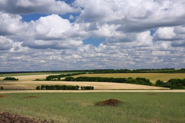 Felder und Wolken — Stockfoto