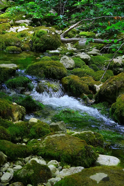 Berg Krim rivier Rechtenvrije Stockfoto's