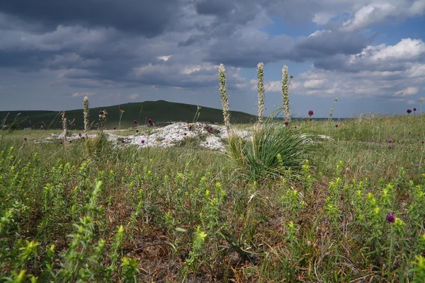 Крымская степь в горной плато — стоковое фото