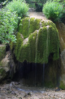 Şelale