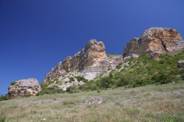 yeşil çayır ve ağaçlar