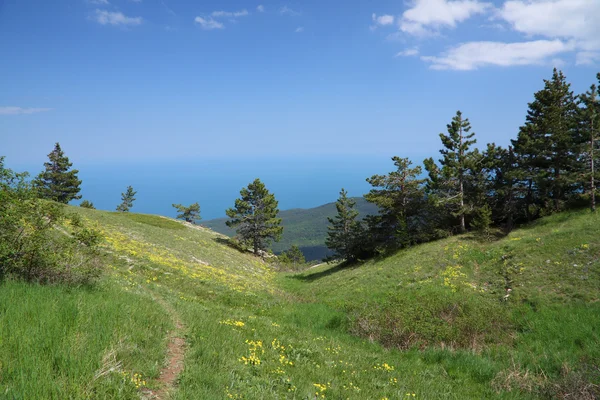 Stock image Spring in the mountain