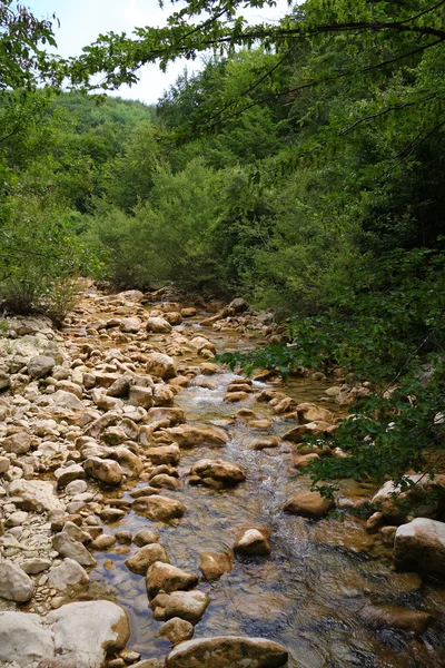 stock image Mountain river