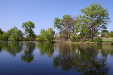 Lake from trees mirror clipart