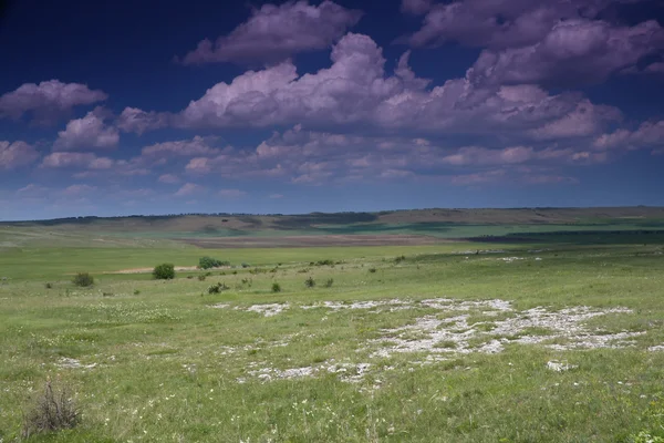 Summer steppe — Stock Photo, Image