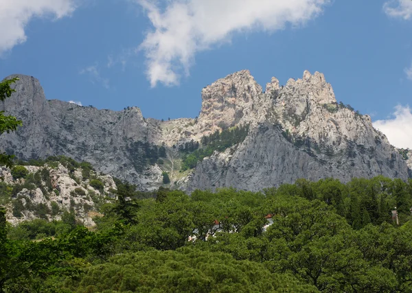 Crimea montaña Ai-Petri —  Fotos de Stock